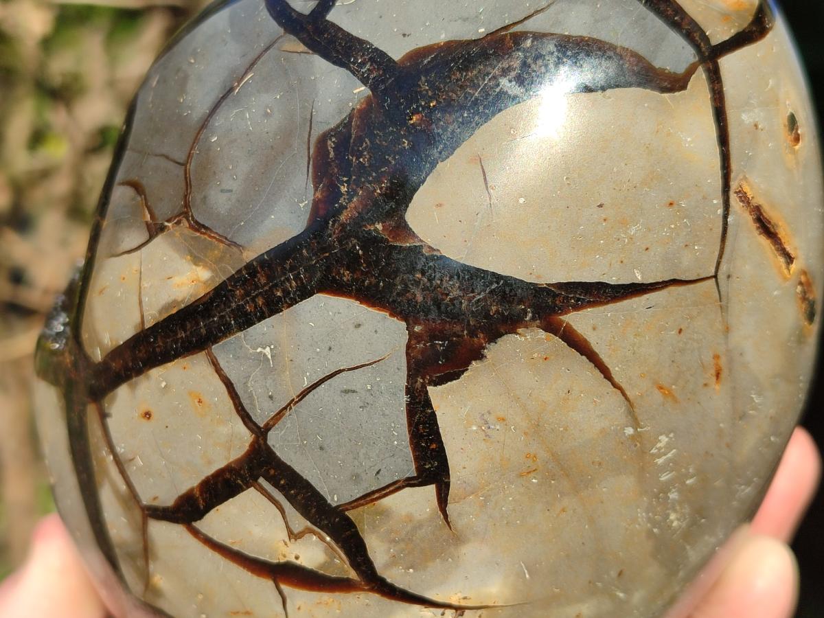 Polished Large Septerye Sauvage "Dragons Egg" Geode x 1 From Mahajanga, Madagascar - Toprock Gemstones and Minerals 