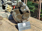 Polished Large Septerye Sauvage "Dragons Egg" Geode x 1 From Mahajanga, Madagascar - Toprock Gemstones and Minerals 