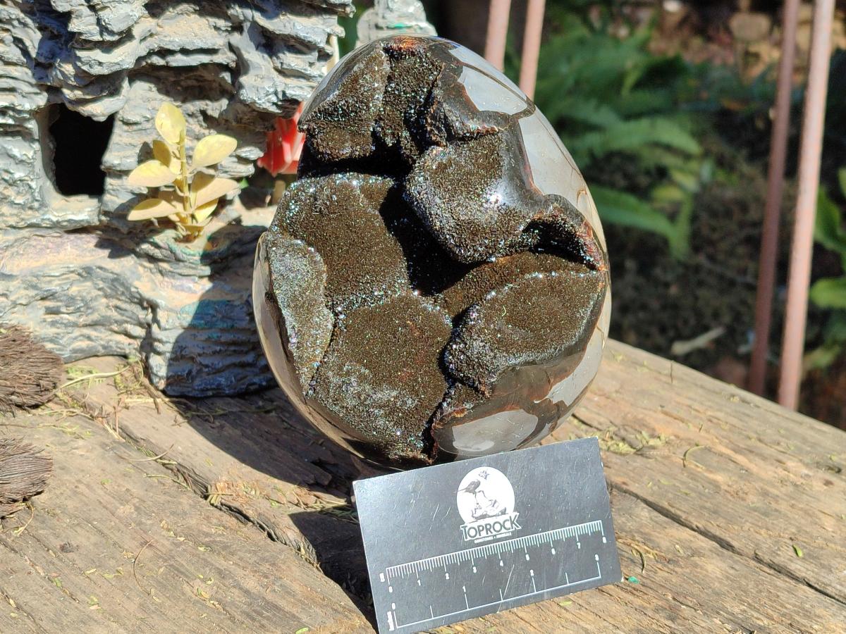 Polished Large Septerye Sauvage "Dragons Egg" Geode x 1 From Mahajanga, Madagascar - Toprock Gemstones and Minerals 
