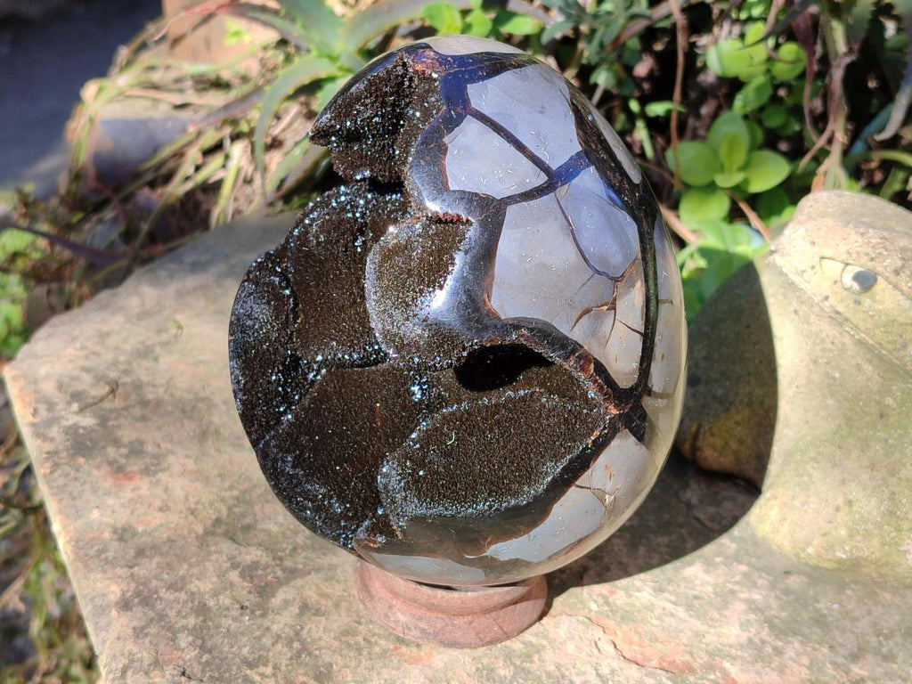 Polished Large Septerye Sauvage "Dragons Egg" Geode x 1 From Mahajanga, Madagascar - Toprock Gemstones and Minerals 