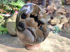 Polished Large Septerye Sauvage "Dragons Egg" Geode x 1 From Mahajanga, Madagascar - Toprock Gemstones and Minerals 