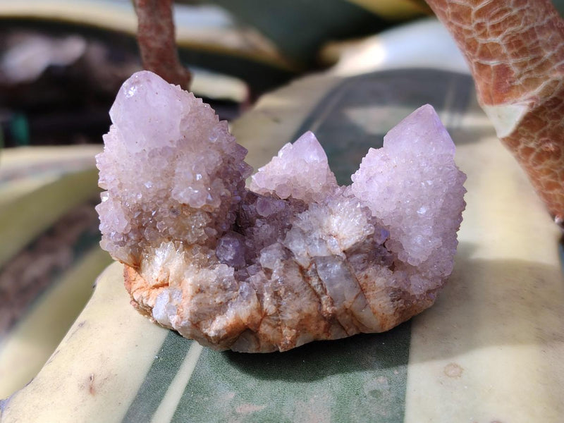 Natural Spirit Amethyst and Spirit Ametrine Clusters x 12 From Boekenhouthoek, South Africa - Toprock Gemstones and Minerals 