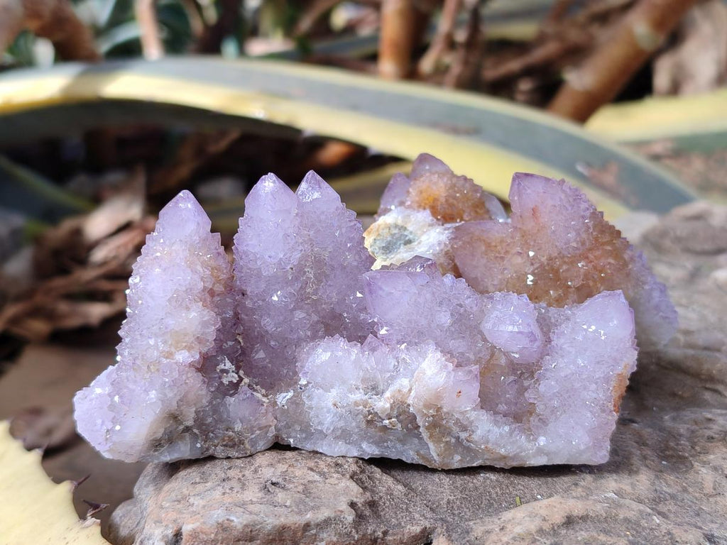 Natural Spirit Amethyst and Spirit Ametrine Clusters x 12 From Boekenhouthoek, South Africa - Toprock Gemstones and Minerals 