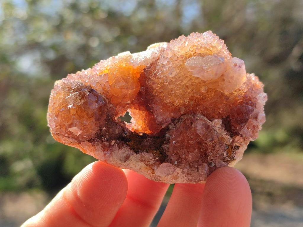 Natural Spirit Amethyst and Spirit Ametrine Clusters x 12 From Boekenhouthoek, South Africa - Toprock Gemstones and Minerals 