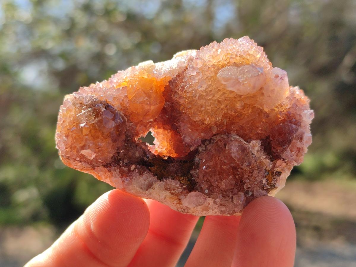 Natural Spirit Amethyst and Spirit Ametrine Clusters x 12 From Boekenhouthoek, South Africa - Toprock Gemstones and Minerals 