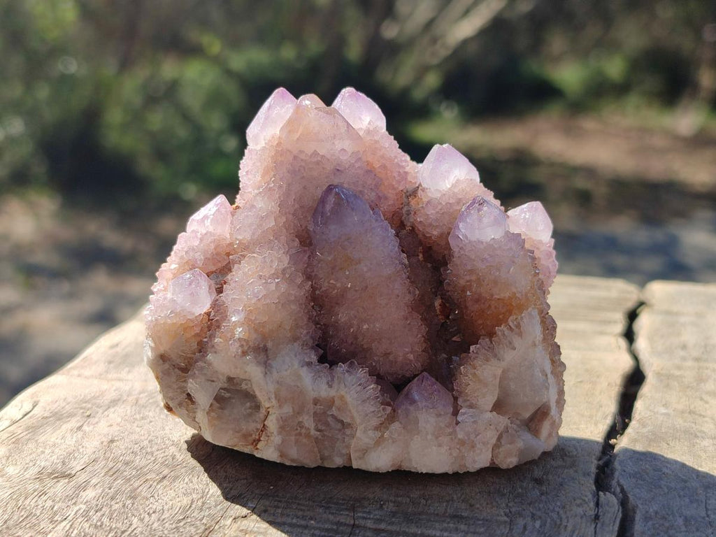 Natural Spirit Amethyst and Spirit Ametrine Clusters x 12 From Boekenhouthoek, South Africa - Toprock Gemstones and Minerals 