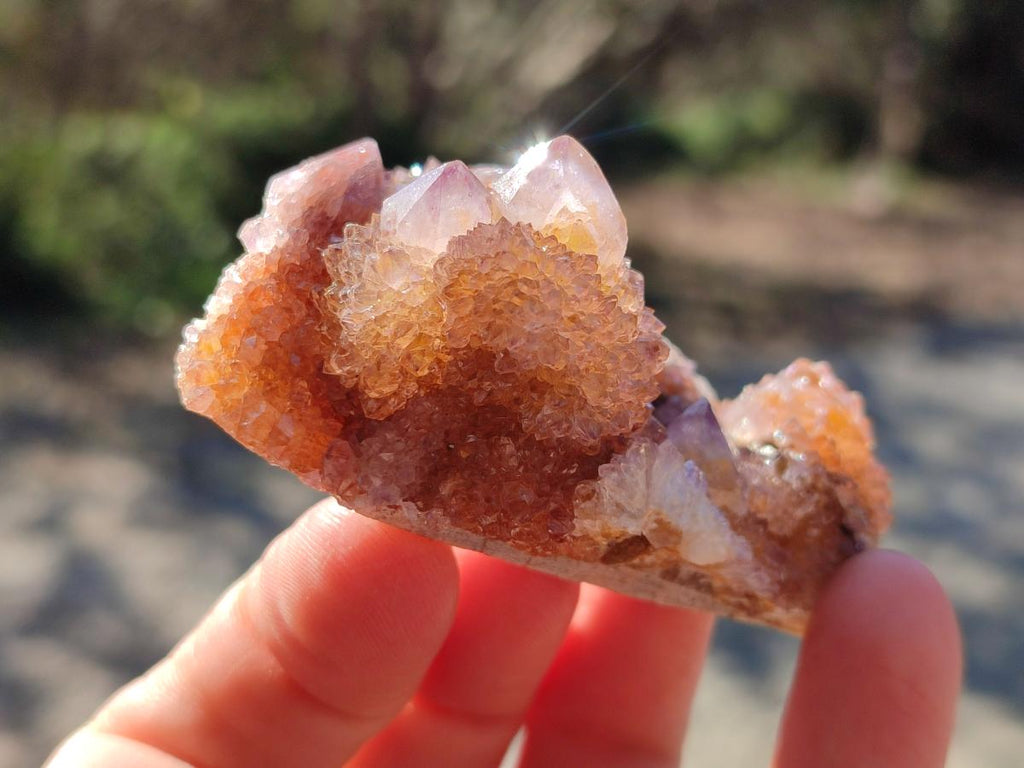 Natural Spirit Amethyst and Spirit Ametrine Clusters x 12 From Boekenhouthoek, South Africa - Toprock Gemstones and Minerals 