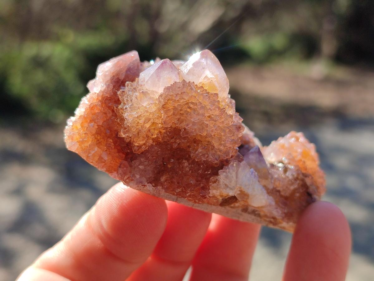 Natural Spirit Amethyst and Spirit Ametrine Clusters x 12 From Boekenhouthoek, South Africa - Toprock Gemstones and Minerals 