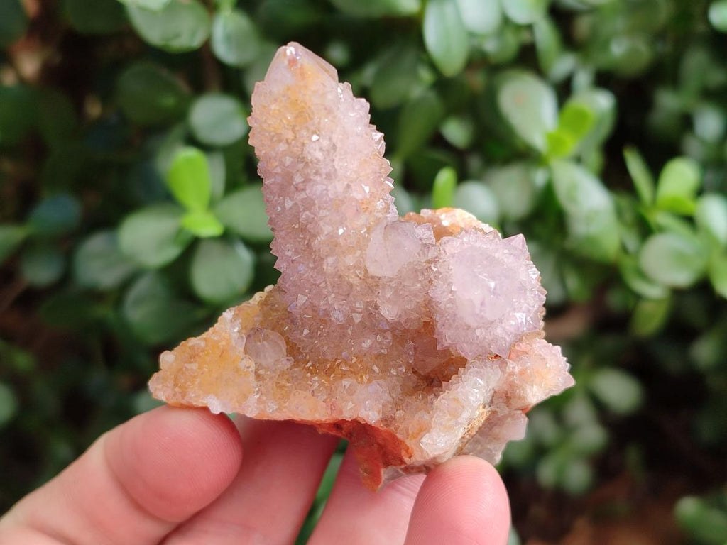 Natural Spirit Amethyst and Spirit Ametrine Clusters x 12 From Boekenhouthoek, South Africa - Toprock Gemstones and Minerals 