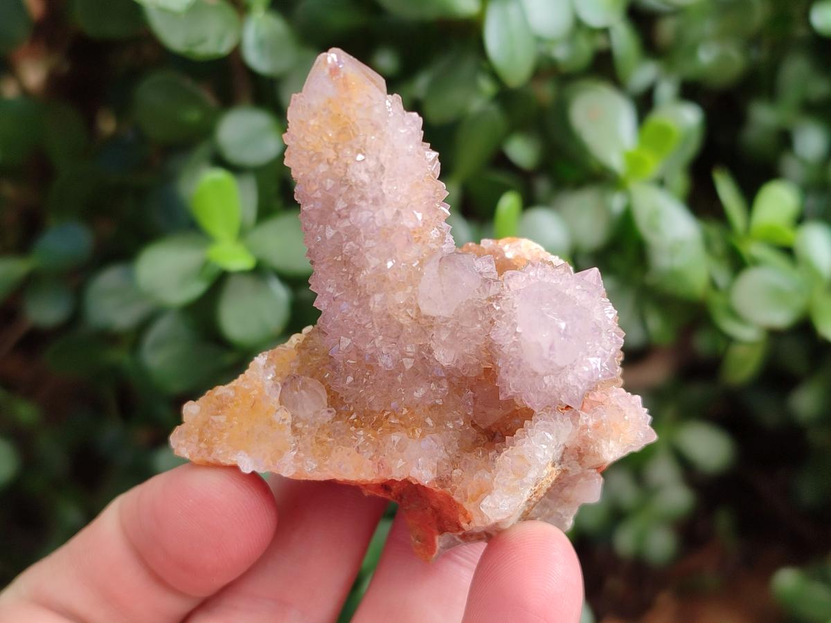Natural Spirit Amethyst and Spirit Ametrine Clusters x 12 From Boekenhouthoek, South Africa - Toprock Gemstones and Minerals 