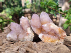 Natural Spirit Amethyst and Spirit Ametrine Clusters x 12 From Boekenhouthoek, South Africa - Toprock Gemstones and Minerals 
