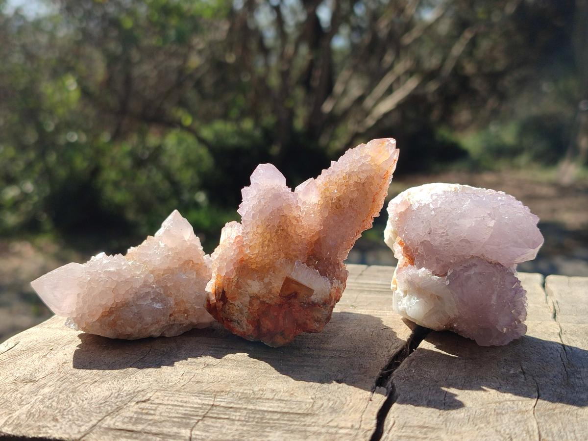 Natural Spirit Amethyst and Spirit Ametrine Clusters x 12 From Boekenhouthoek, South Africa - Toprock Gemstones and Minerals 