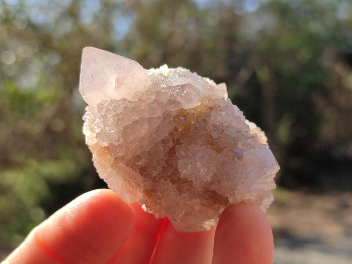 Natural Spirit Amethyst and Spirit Ametrine Clusters x 12 From Boekenhouthoek, South Africa - Toprock Gemstones and Minerals 