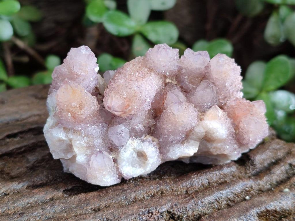 Natural Spirit Amethyst and Spirit Ametrine Clusters x 12 From Boekenhouthoek, South Africa - Toprock Gemstones and Minerals 