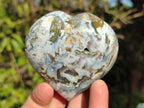 Polished Ocean Jasper Hearts x 6 From Northwest Coast, Madagascar - Toprock Gemstones and Minerals 