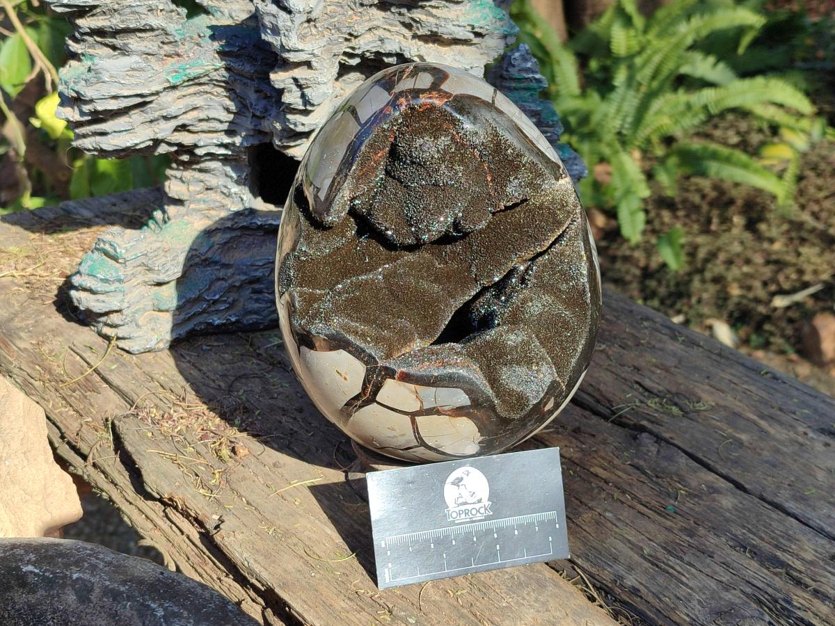 Polished Large Septerye Sauvage "Dragons Egg" Geode x 1 From Mahajanga, Madagascar - Toprock Gemstones and Minerals 