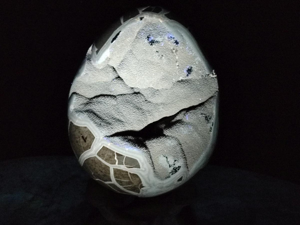 Polished Large Septerye Sauvage "Dragons Egg" Geode x 1 From Mahajanga, Madagascar - Toprock Gemstones and Minerals 