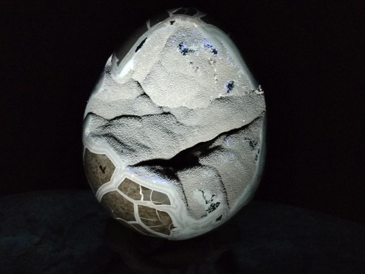 Polished Large Septerye Sauvage "Dragons Egg" Geode x 1 From Mahajanga, Madagascar - Toprock Gemstones and Minerals 