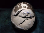 Polished Large Septerye Sauvage "Dragons Egg" Geode x 1 From Mahajanga, Madagascar - Toprock Gemstones and Minerals 