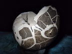 Polished Large Septerye Sauvage "Dragons Egg" Geode x 1 From Mahajanga, Madagascar - Toprock Gemstones and Minerals 