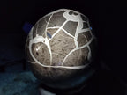 Polished Large Septerye Sauvage "Dragons Egg" Geode x 1 From Mahajanga, Madagascar - Toprock Gemstones and Minerals 