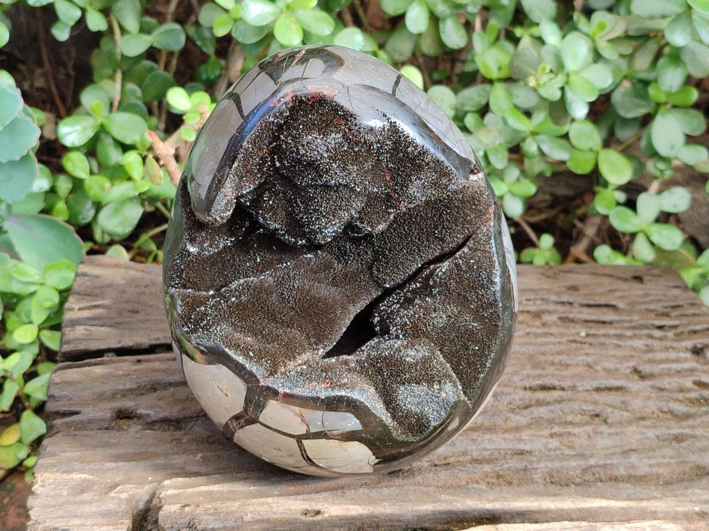 Polished Large Septerye Sauvage "Dragons Egg" Geode x 1 From Mahajanga, Madagascar - Toprock Gemstones and Minerals 