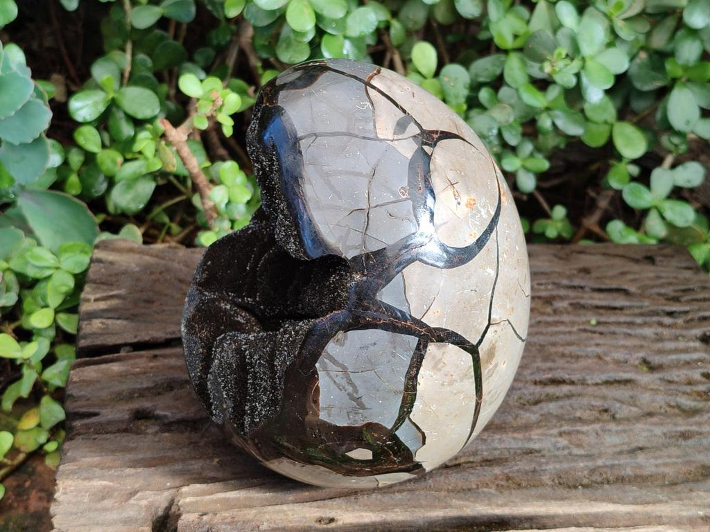 Polished Large Septerye Sauvage "Dragons Egg" Geode x 1 From Mahajanga, Madagascar - Toprock Gemstones and Minerals 