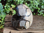 Polished Large Septerye Sauvage "Dragons Egg" Geode x 1 From Mahajanga, Madagascar - Toprock Gemstones and Minerals 