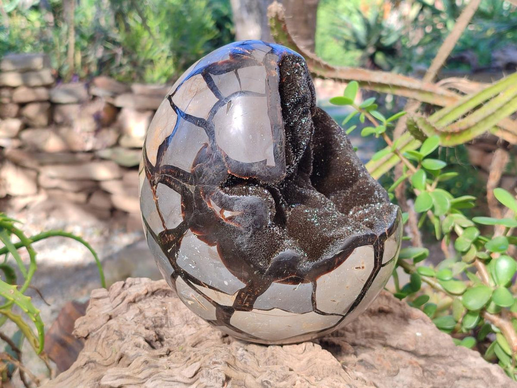 Polished Large Septerye Sauvage "Dragons Egg" Geode x 1 From Mahajanga, Madagascar - Toprock Gemstones and Minerals 