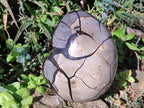 Polished Large Septerye Sauvage "Dragons Egg" Geode x 1 From Mahajanga, Madagascar - Toprock Gemstones and Minerals 