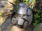 Polished Large Septerye Sauvage "Dragons Egg" Geode x 1 From Mahajanga, Madagascar - Toprock Gemstones and Minerals 