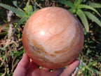 Polished XL Orange Twist Calcite Sphere x 1 From Maevantanana, Madagascar - Toprock Gemstones and Minerals 