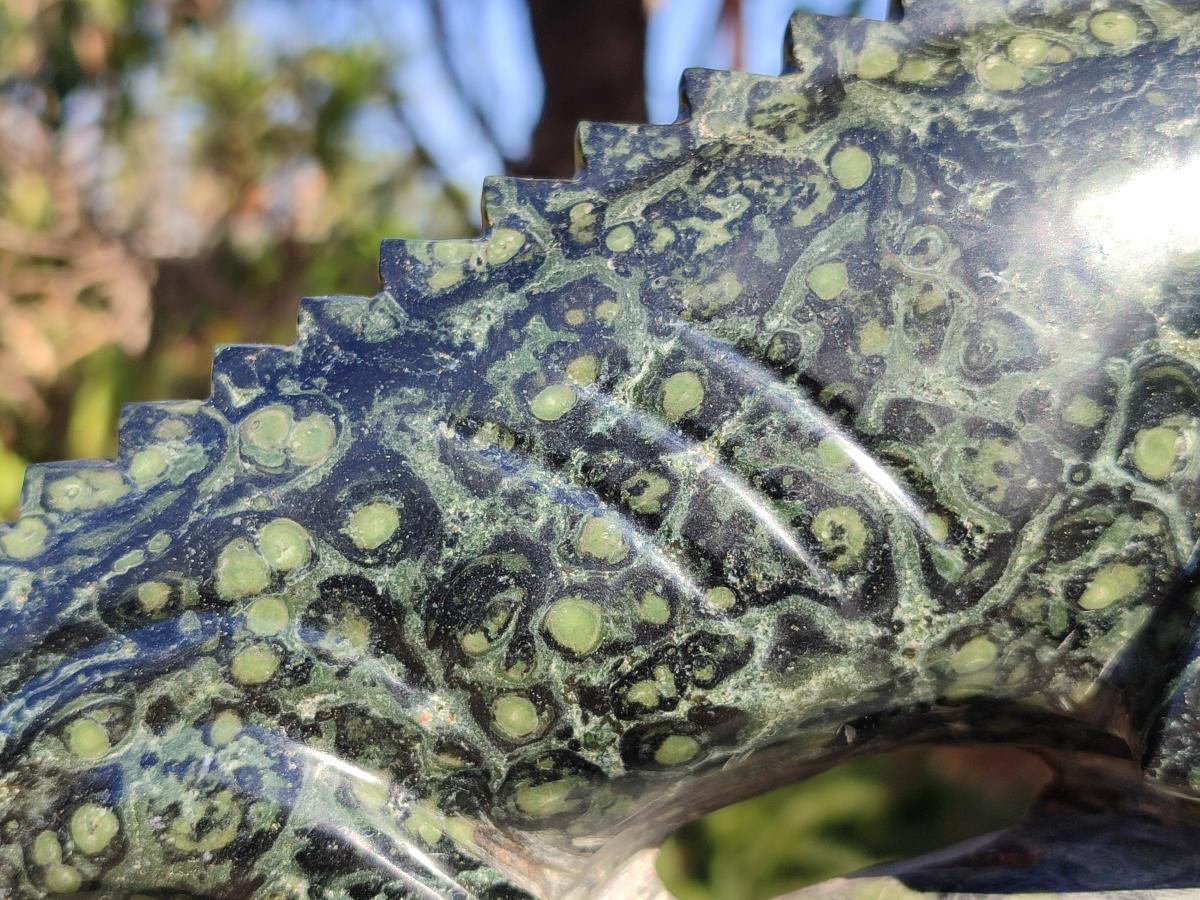 Polished XL Stromatolite "Kambaba Jasper" Chameleon Carving x 1 From Katsepy, Madagascar - Toprock Gemstones and Minerals 