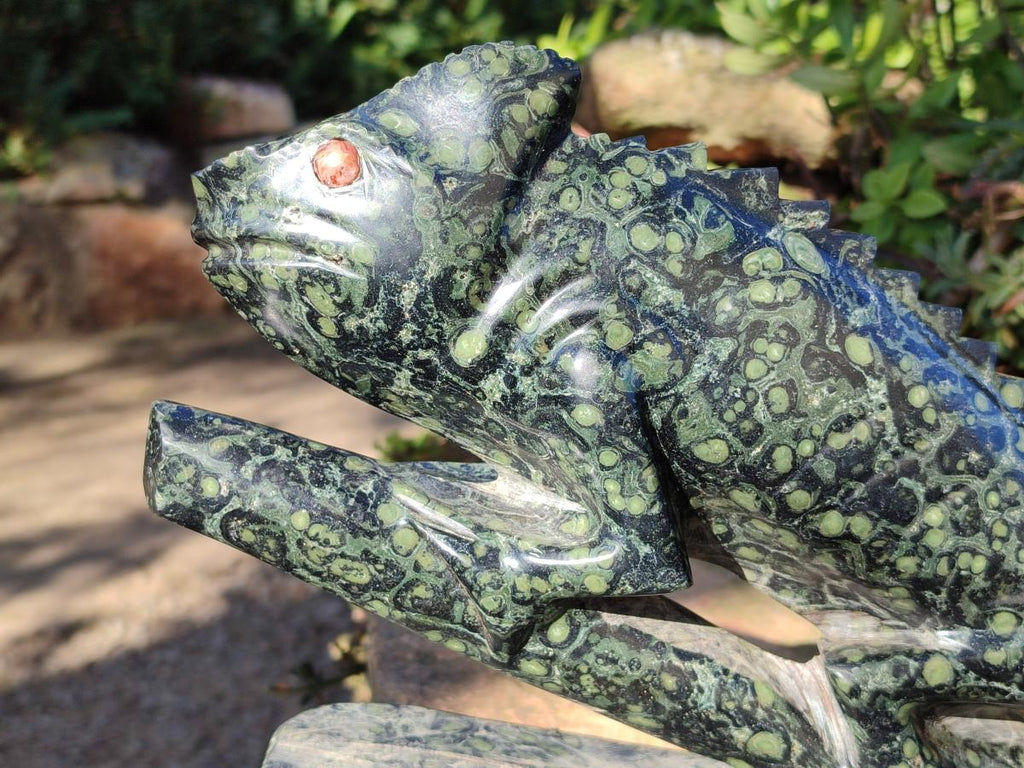 Polished XL Stromatolite "Kambaba Jasper" Chameleon Carving x 1 From Katsepy, Madagascar - Toprock Gemstones and Minerals 