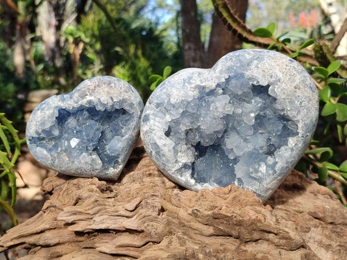 Polished Blue Celestite Geode Hearts x 2 From Sakoany, Madagascar - Toprock Gemstones and Minerals 