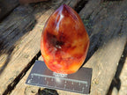 Polished Carnelian Agate Gemstone Standing Display Pieces x 6 From Madagascar - Toprock Gemstones and Minerals 