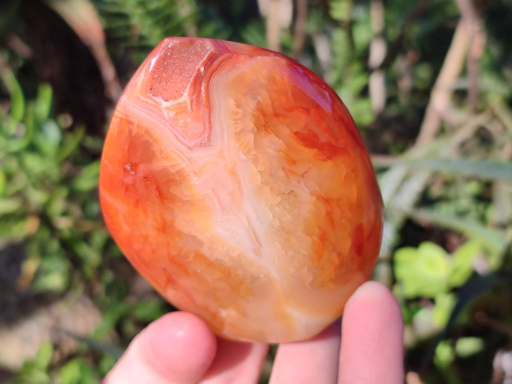 Polished Carnelian Agate Gemstone Standing Display Pieces x 6 From Madagascar - Toprock Gemstones and Minerals 