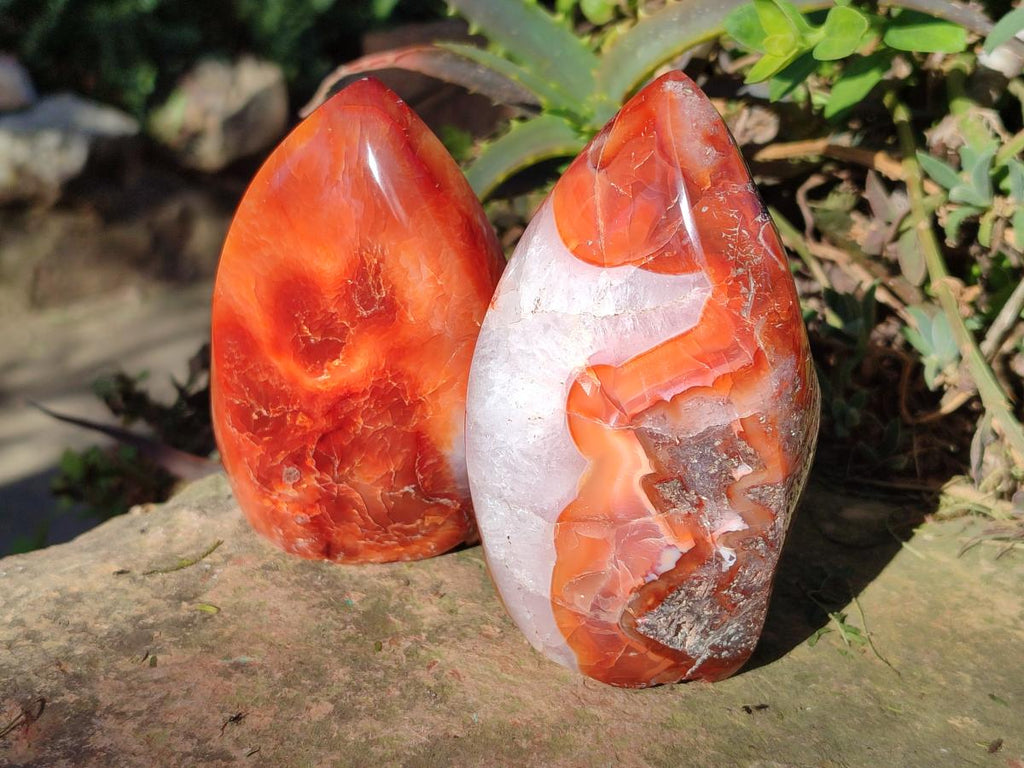 Polished Carnelian Agate Gemstone Standing Display Pieces x 6 From Madagascar - Toprock Gemstones and Minerals 