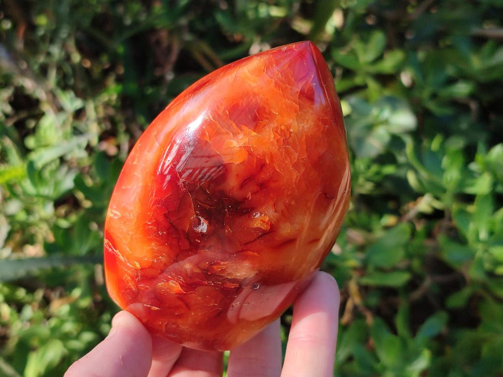 Polished Carnelian Agate Gemstone Standing Display Pieces x 6 From Madagascar - Toprock Gemstones and Minerals 