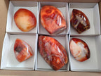 Polished Carnelian Agate Gemstone Standing Display Pieces x 6 From Madagascar - Toprock Gemstones and Minerals 
