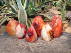 Polished Carnelian Agate Gemstone Standing Display Pieces x 6 From Madagascar - Toprock Gemstones and Minerals 