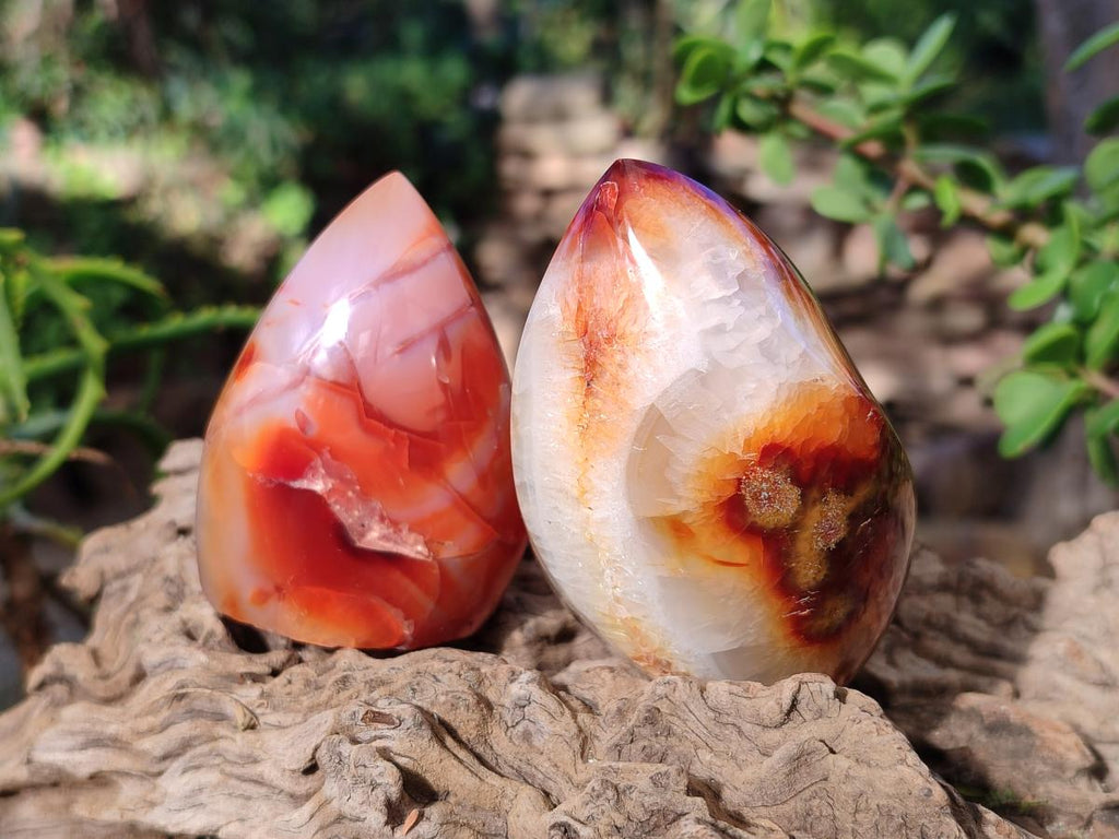 Polished Carnelian Agate Gemstone Standing Display Pieces x 6 From Madagascar - Toprock Gemstones and Minerals 
