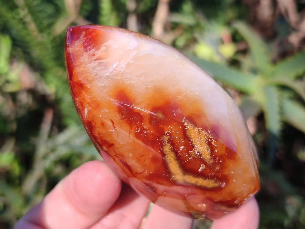Polished Carnelian Agate Gemstone Standing Display Pieces x 6 From Madagascar - Toprock Gemstones and Minerals 