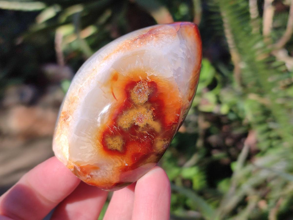 Polished Carnelian Agate Gemstone Standing Display Pieces x 6 From Madagascar - Toprock Gemstones and Minerals 