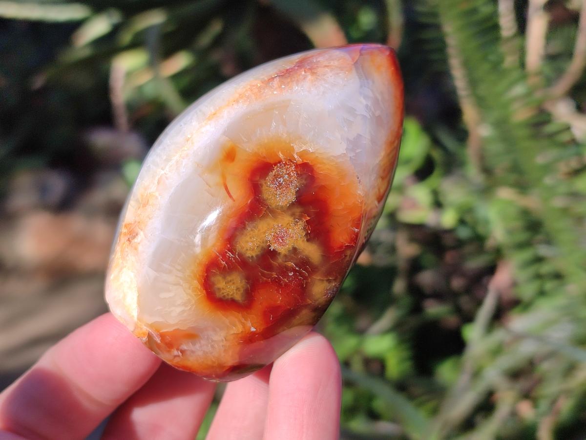 Polished Carnelian Agate Gemstone Standing Display Pieces x 6 From Madagascar - Toprock Gemstones and Minerals 