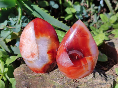 Polished Carnelian Agate Gemstone Standing Display Pieces x 6 From Madagascar - Toprock Gemstones and Minerals 