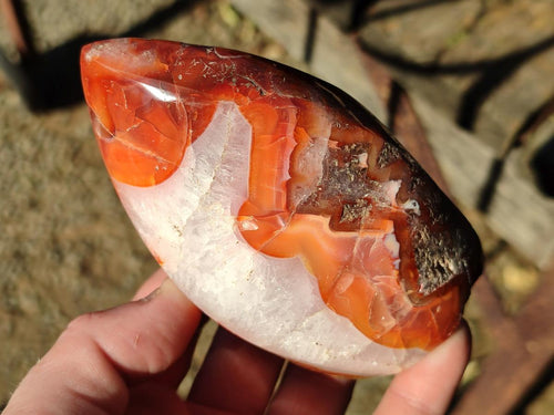 Polished Carnelian Agate Gemstone Standing Display Pieces x 6 From Madagascar - Toprock Gemstones and Minerals 