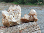Natural White Phantom Smokey Luena Quartz Clusters x 2 From Luena, Congo - Toprock Gemstones and Minerals 
