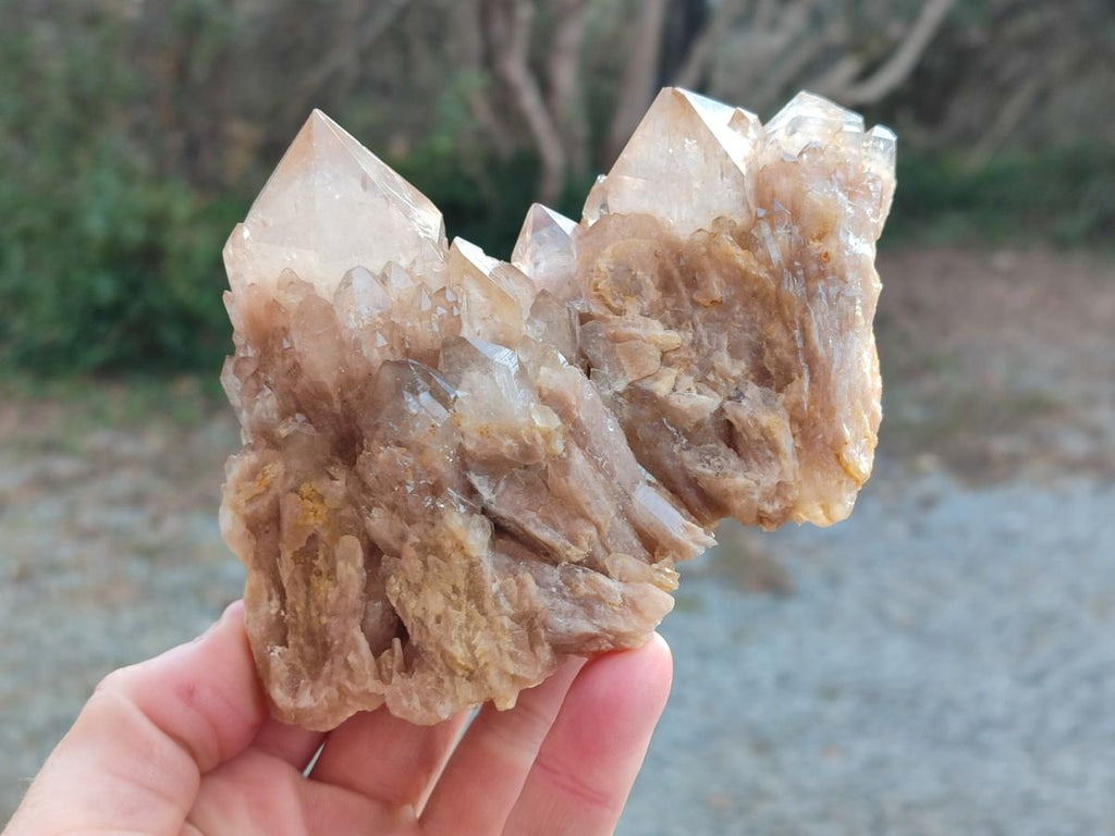 Natural White Phantom Smokey Luena Quartz Clusters x 2 From Luena, Congo - Toprock Gemstones and Minerals 