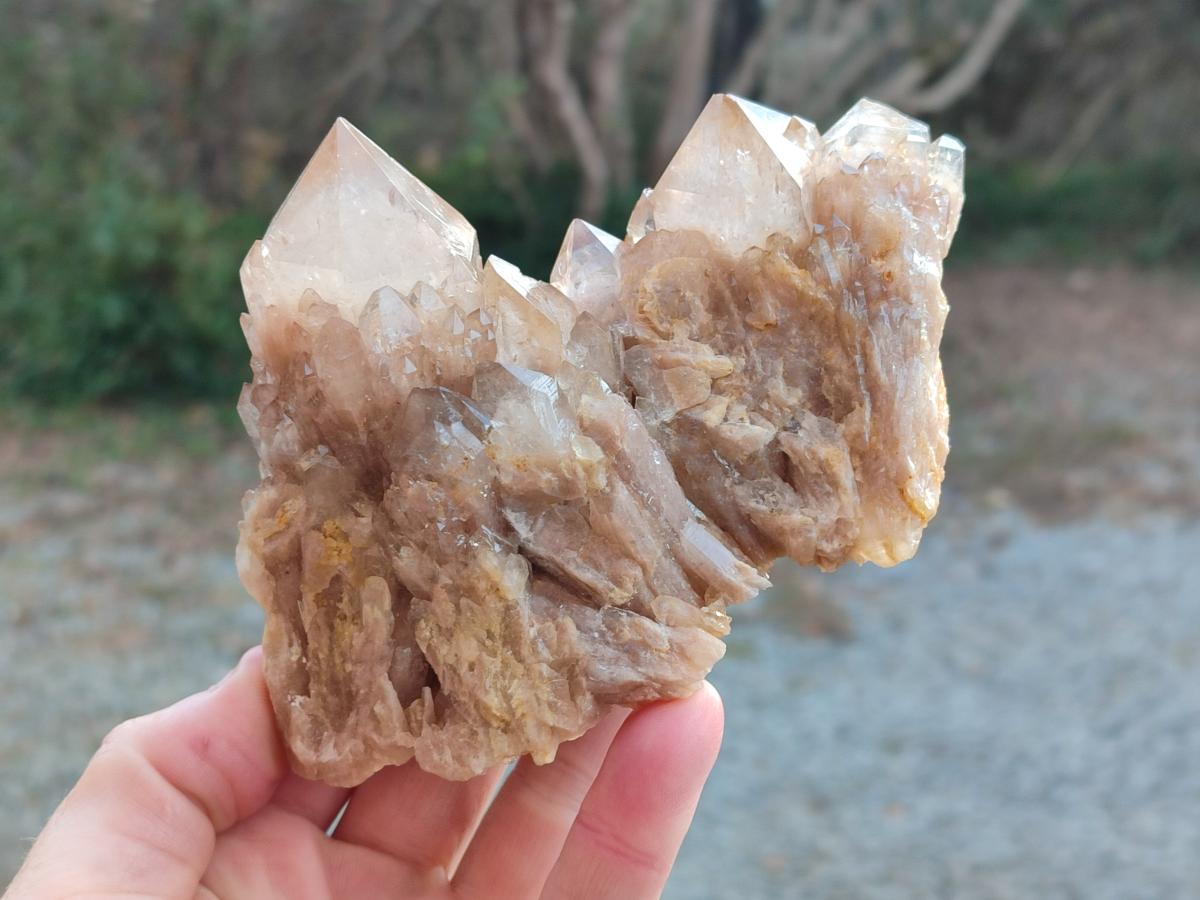 Natural White Phantom Smokey Luena Quartz Clusters x 2 From Luena, Congo - Toprock Gemstones and Minerals 